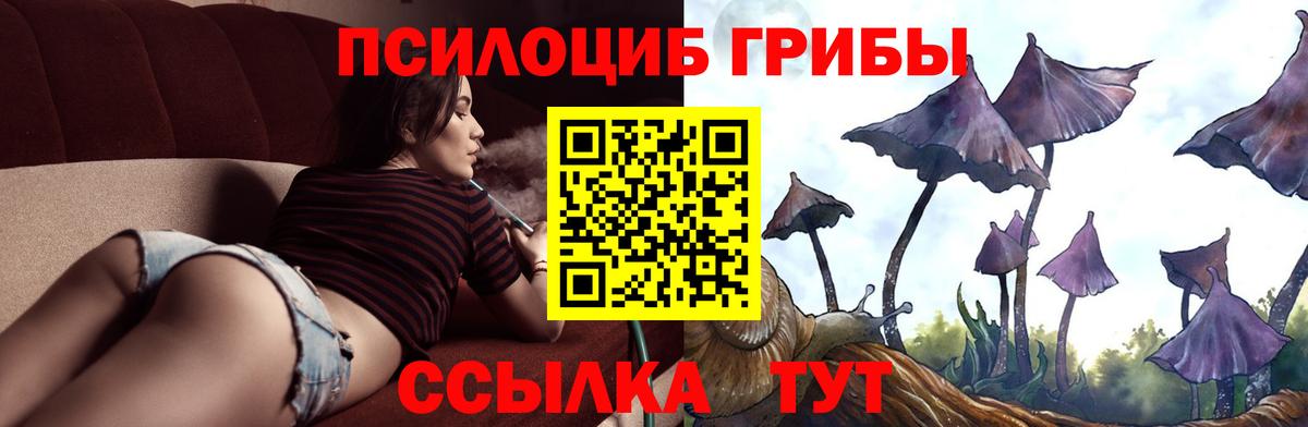 Псилоцибиновые грибы Magic Shrooms Пушкино